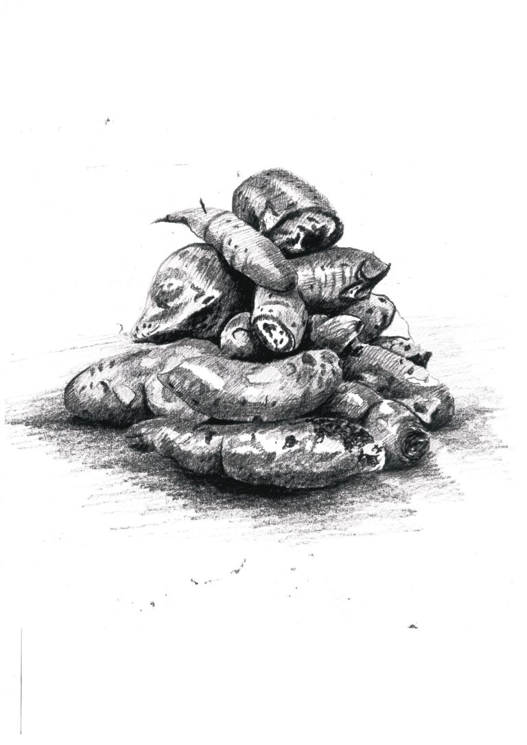 the first takeaway