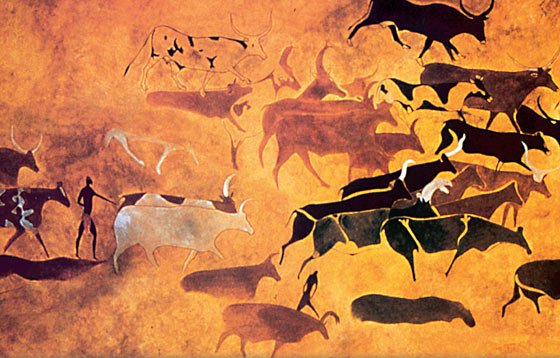 Bulls In Africa 1