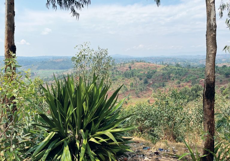 A view of the Burundian pastoral in the northern province of Kayanza. © Rodney Muhumuza for TWR