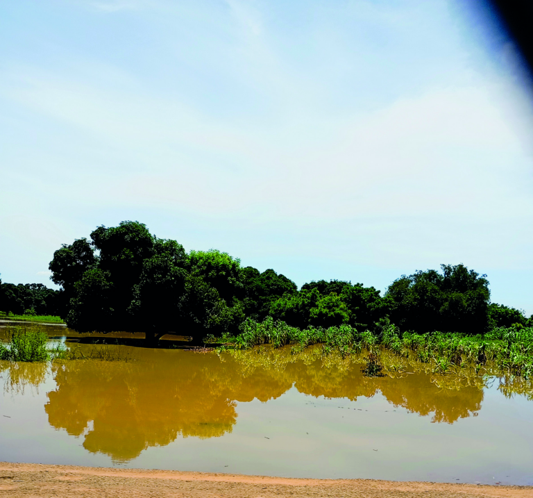 A flooded plain somewhere in West Africa (Courtesy of Wikimedia Commons)