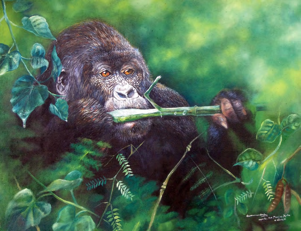 Stephen Gwoktcho, Gorilla Snacking, 2012, acrylic on canvas, 60 x 100 cm